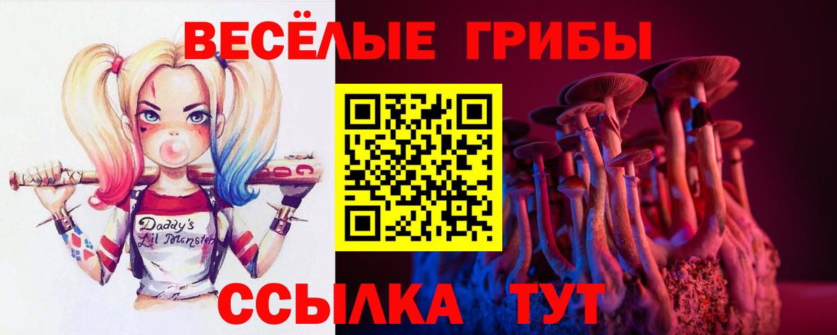 Галлюциногенные грибы Cubensis Керчь